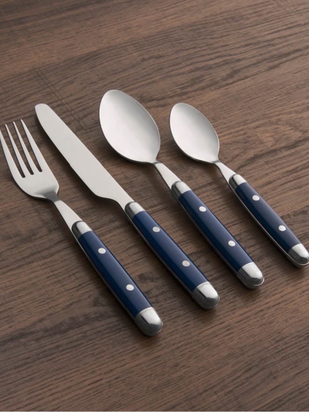 Cambridge Jubilee Blue Stainless Steel Flatware Set 16 pieces NEW in box